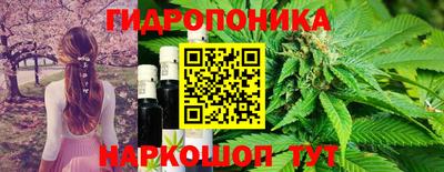 MDMA Краснознаменск